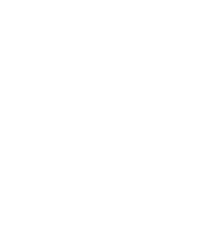 The University of Hong Kong Logo