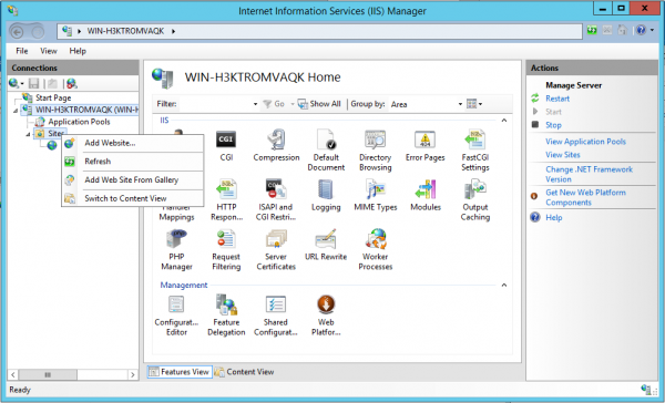 iis create site