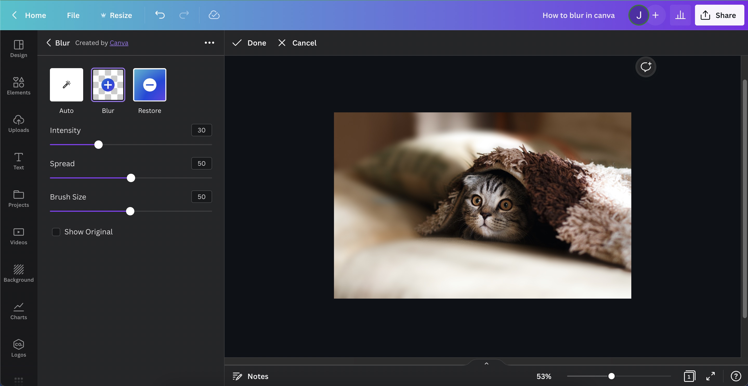 How to blur parts of a photo in Canva - step 6
