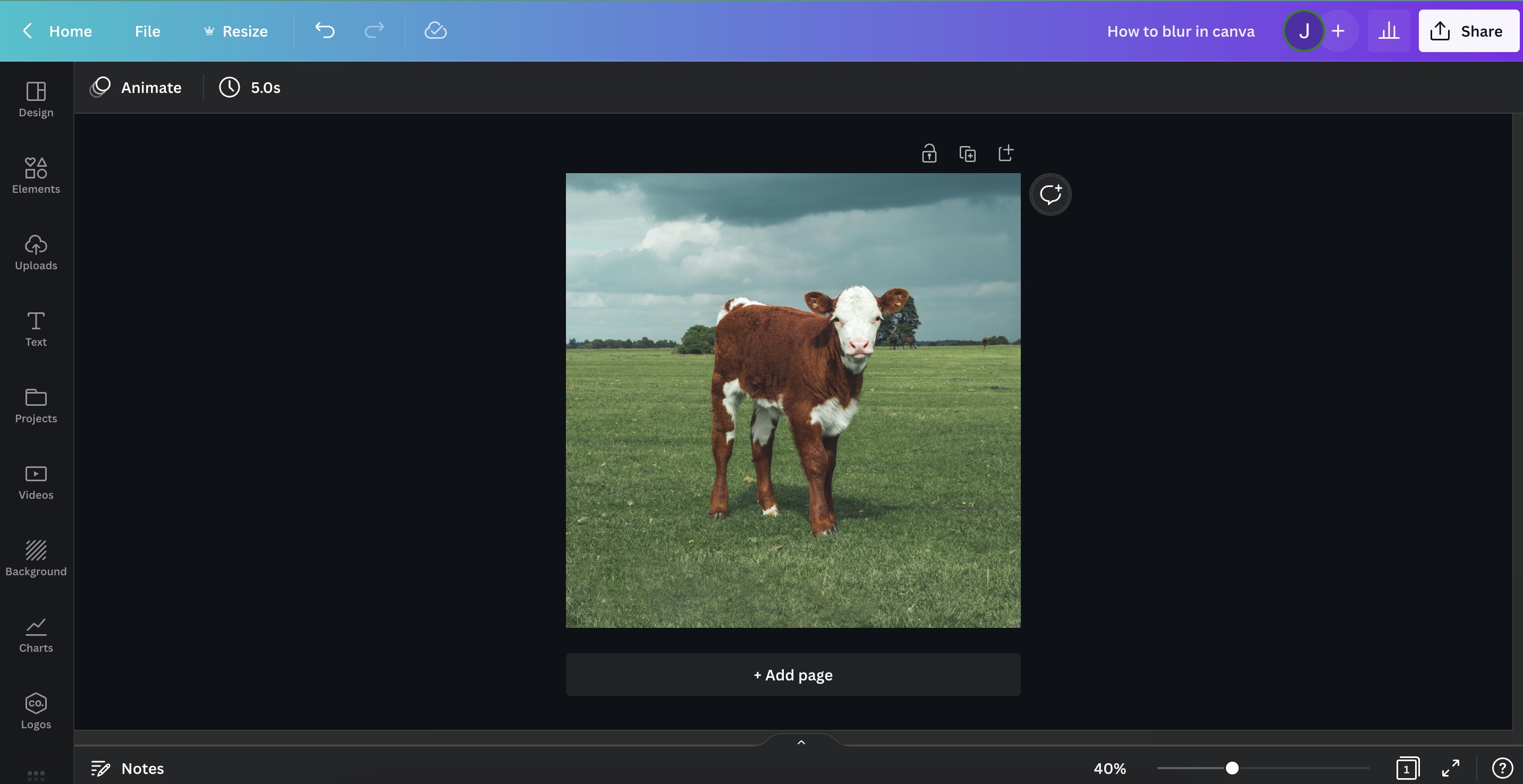 How to blur photos like Portrait Mode in Canva - step 1