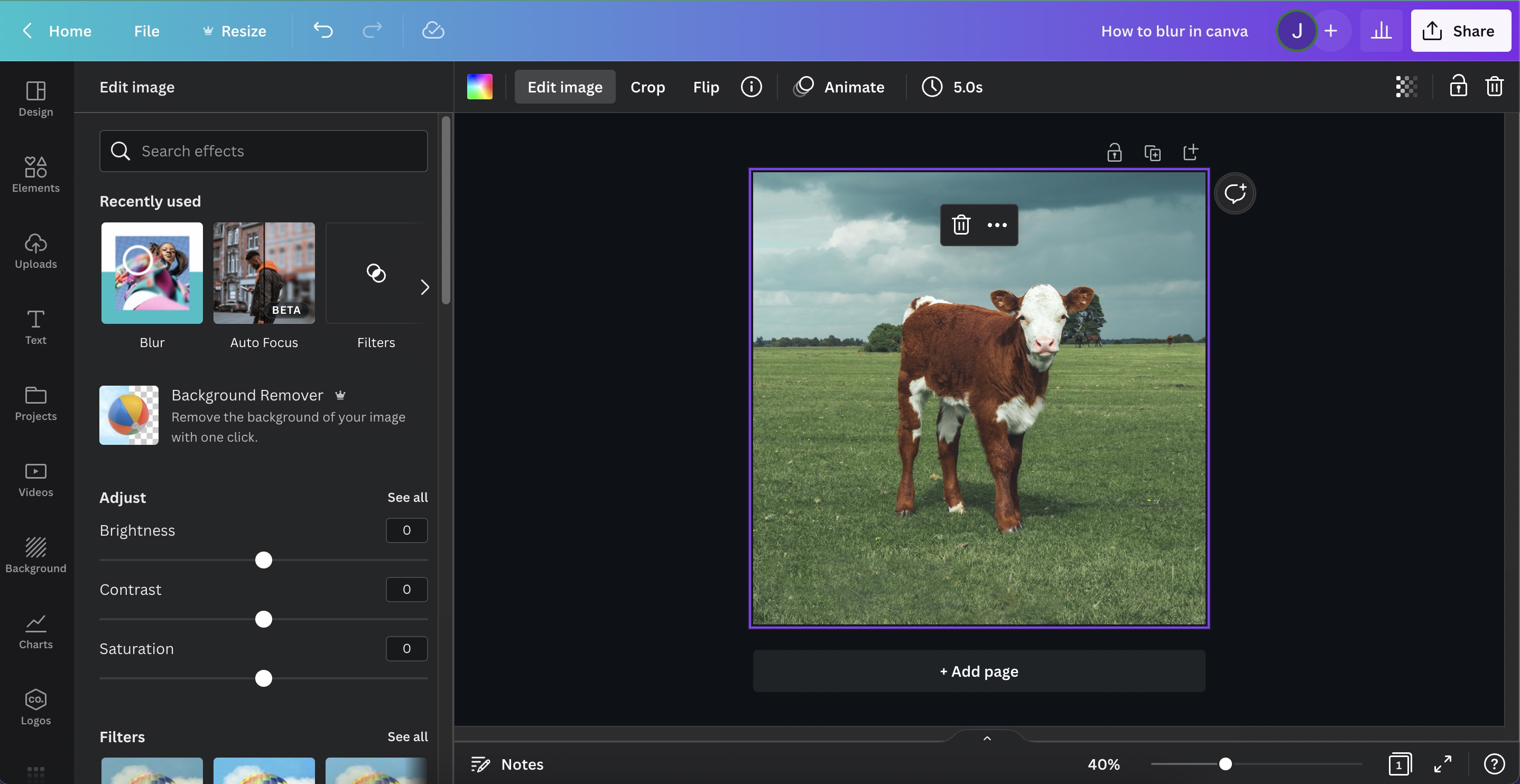 How to blur photos like Portrait Mode in Canva - step 2