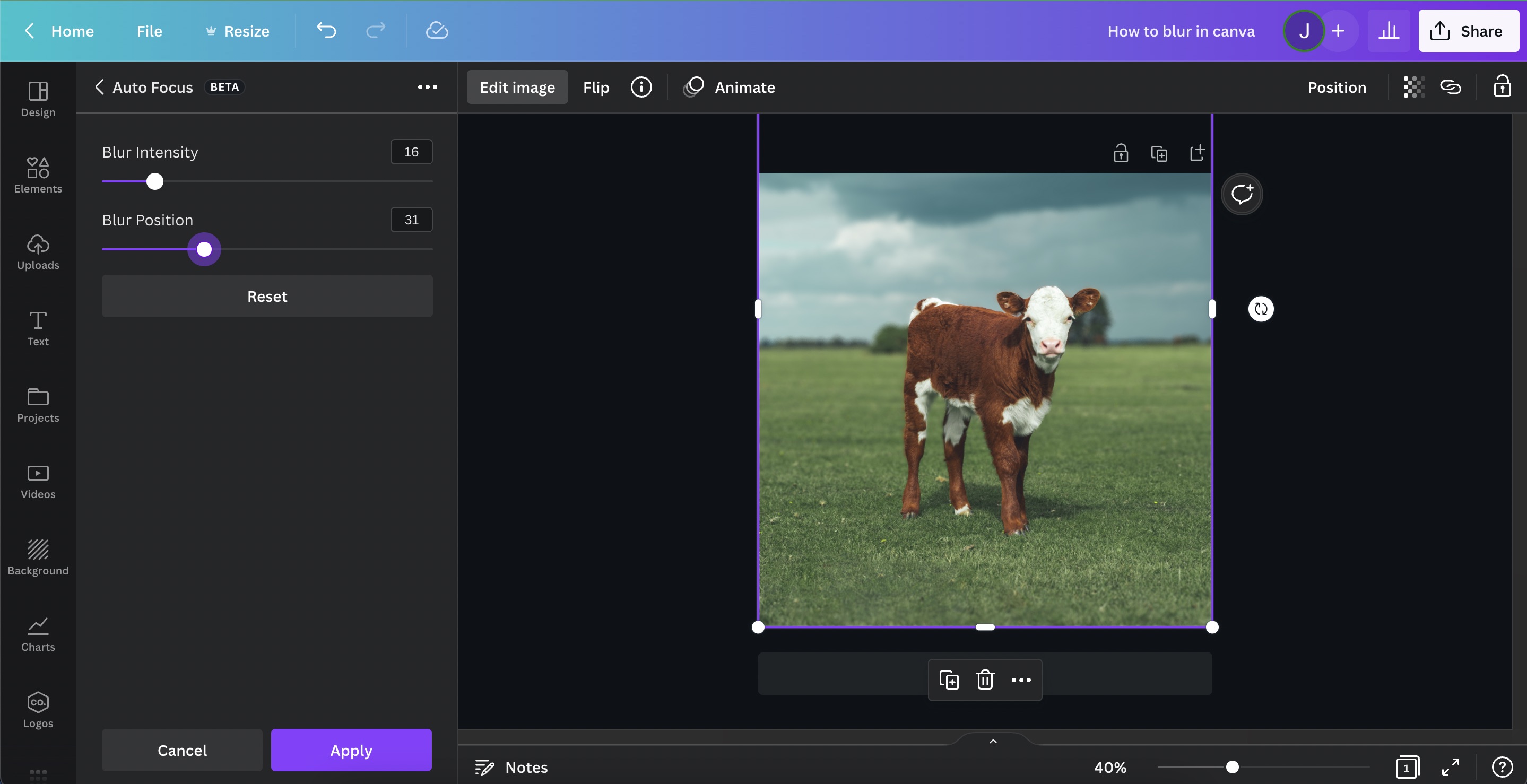 How to blur photos like Portrait Mode in Canva - step 4