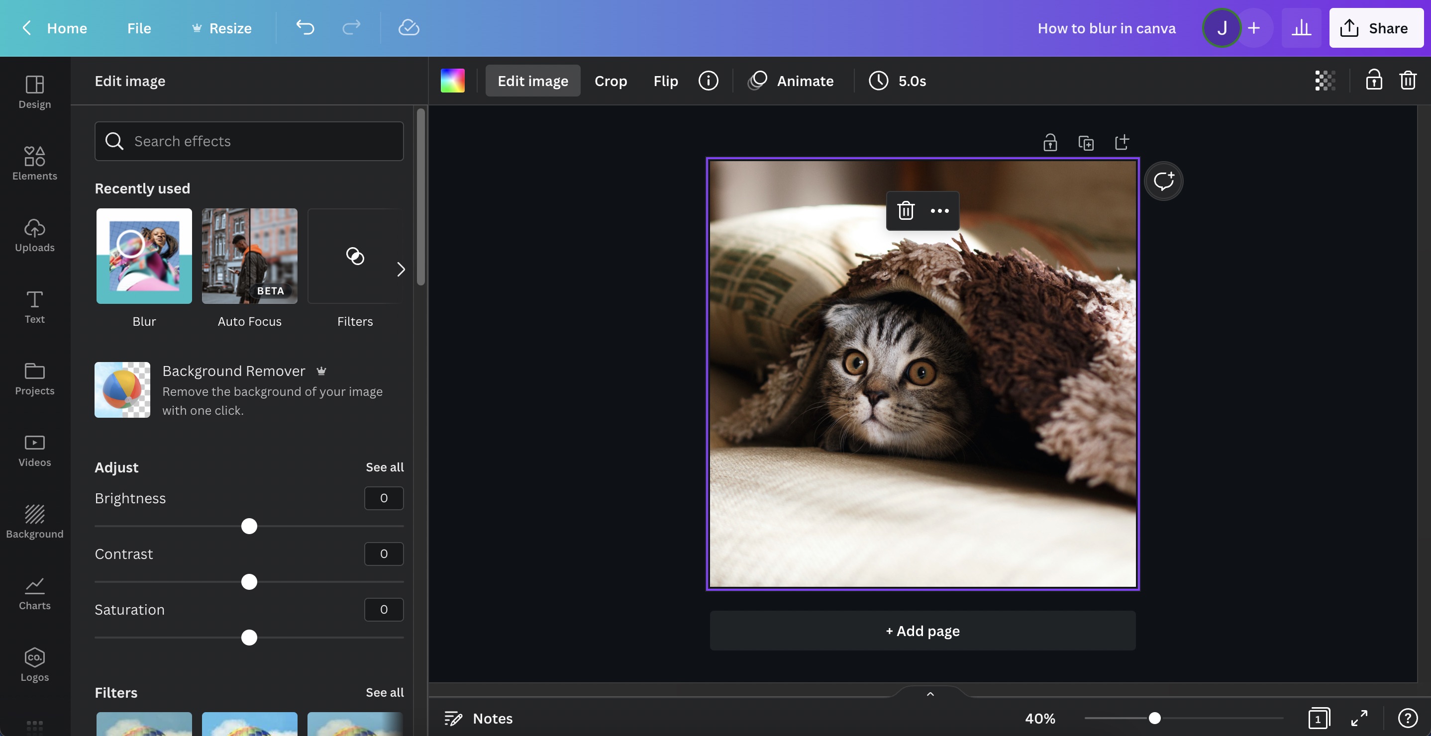 How to blur parts of a photo in Canva - step 2