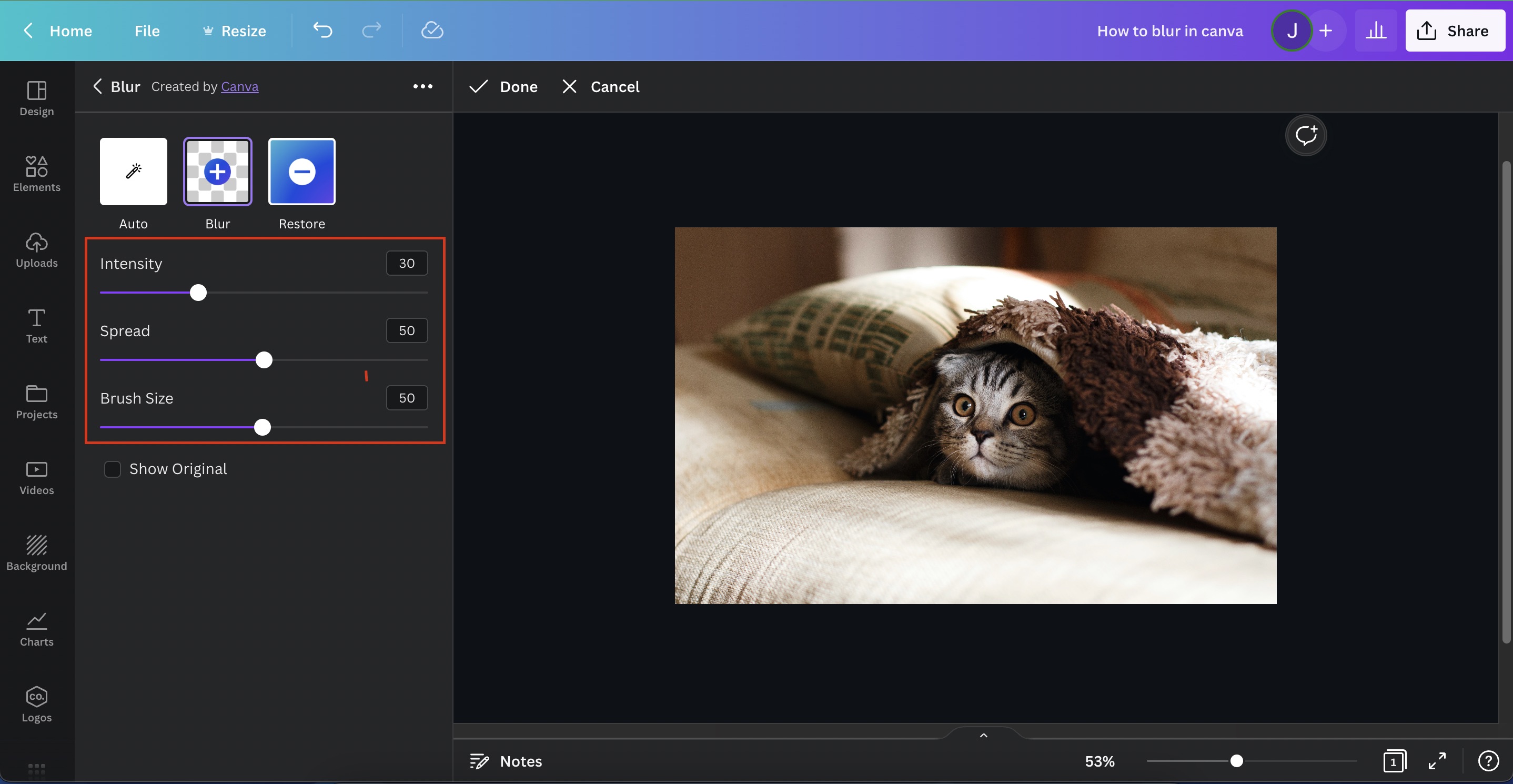 How to blur parts of a photo in Canva - step 5